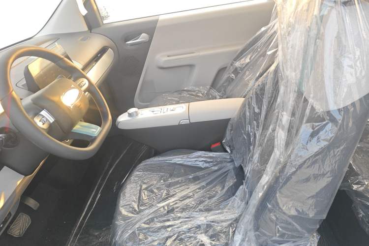 Used Qiyuan Lumin 2025 205 km Xiangqin Version
