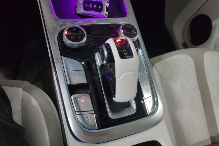 Used Cyberspace Tank 300 2021 2.0T Cyber Tank