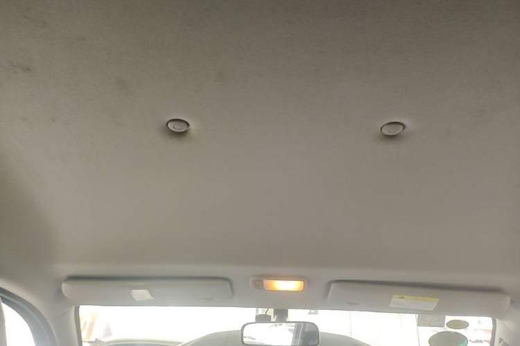 Used FORTHING Lingzhi 2020 M5L 1.6L Utility Model
