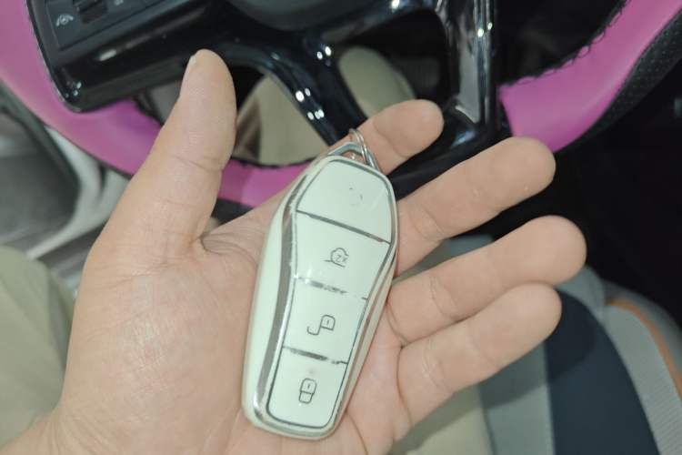 Used BYD Song Pro New Energy 2024 HONOR Edition DM-i 110KM Excellence Model