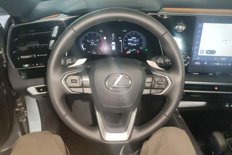 Used Lexus RX 2025 300 Four-Wheel Drive Junxiang Edition
