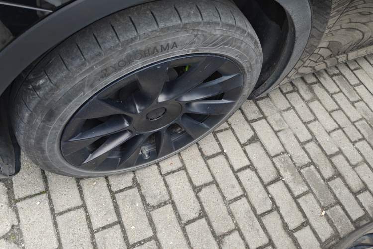 Used Tesla Model Y 2022 Rear-Wheel-Drive Version
