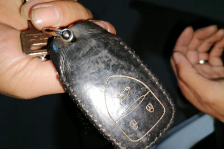 Used Dayun Yuehu 2022 30.66 kWh Two-Wheel Drive Standard Version
