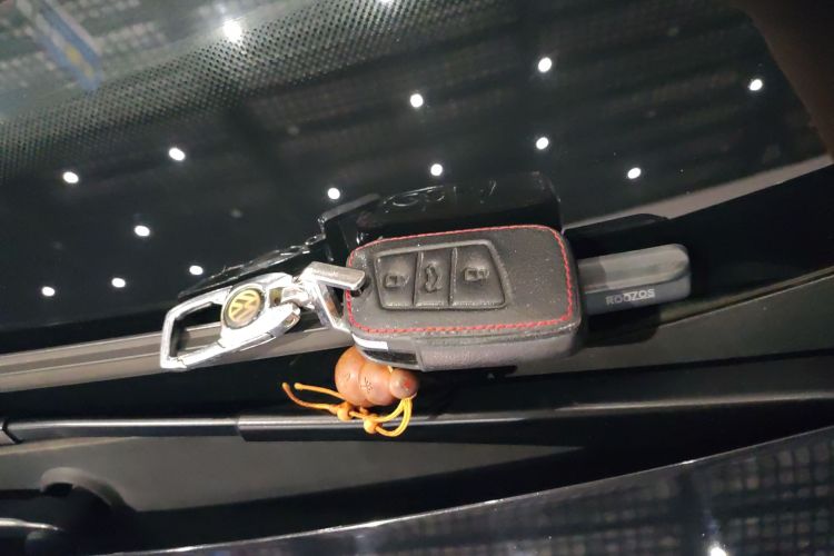 Used Volkswagen Magotan 2019 330TSI DSG Luxury Version China VI Standard