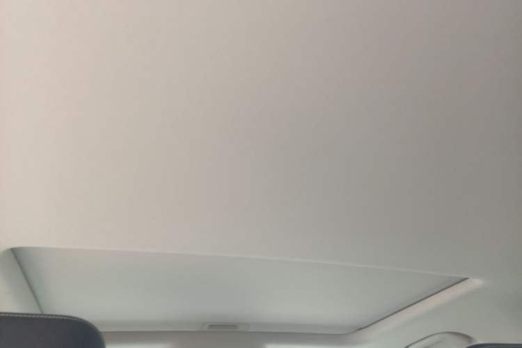 Used Tank 300 2021 Off-Road Edition 2.0T Challenger Headliner