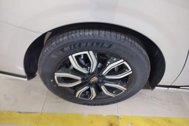 Used Hongqi HQ9 2023 2.0T Smart Connect Flagship Edition