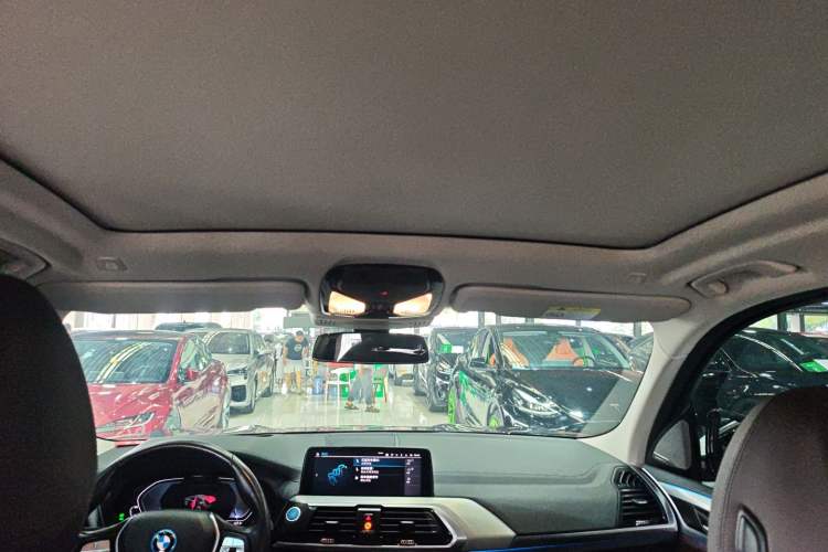 Used BMW iX3 2021 Leading Type Headliner