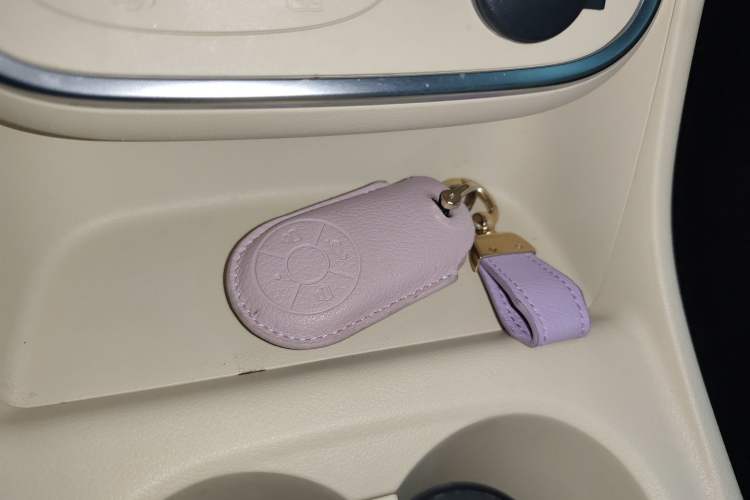 Used ORA Good Cat 2023 401 km Standard Range Luxury Version Lithium Iron Phosphate Vehicle Key