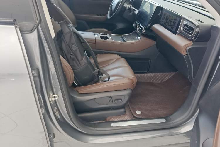 Used Leapmotor C11 2021 Revised Version Luxury Edition
