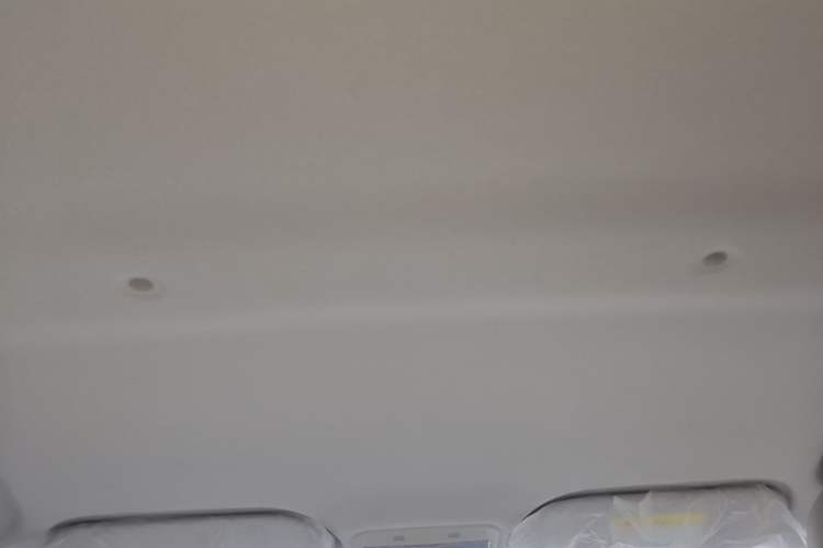 Used SOL E10X 2022 Flower Fairy Design Four-Leaf Clover