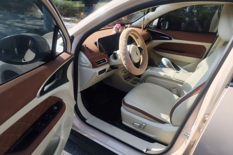 Used ORA Good Cat 2023 401 km Standard Range Luxury Version Lithium Iron Phosphate