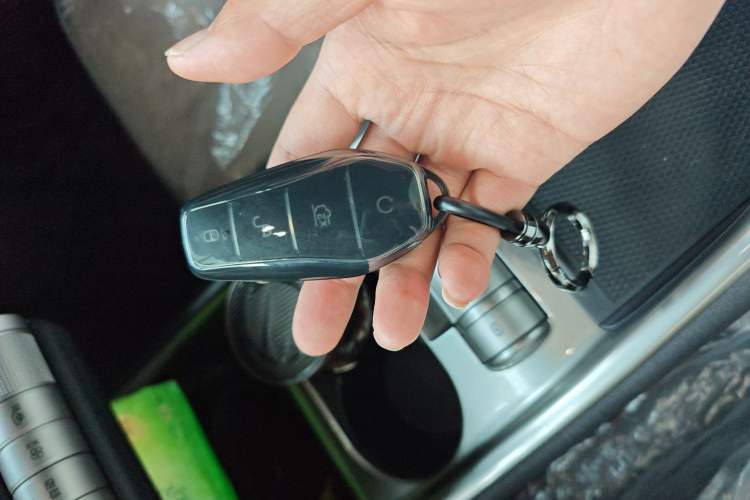 Used BYD Dolphin 2025 420km Free Edition Vehicle Key