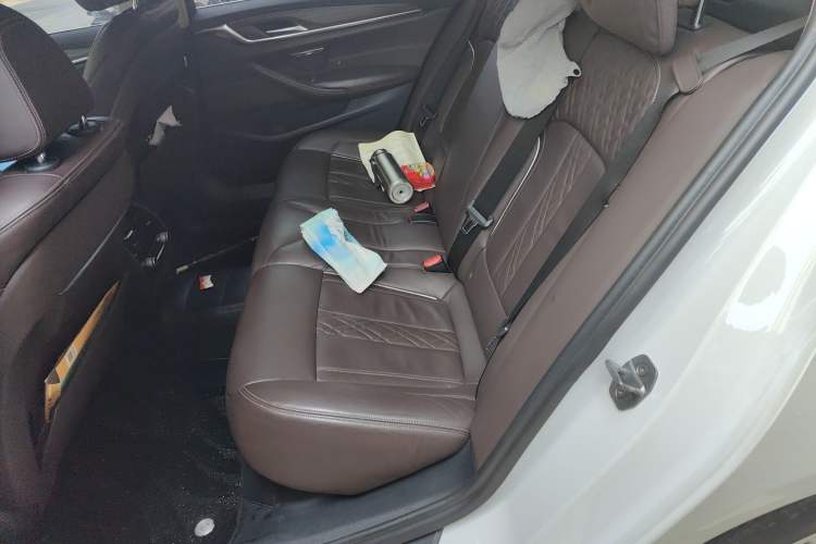 Used BMW 5 Series New Energy 2019 530Le Luxury Package
