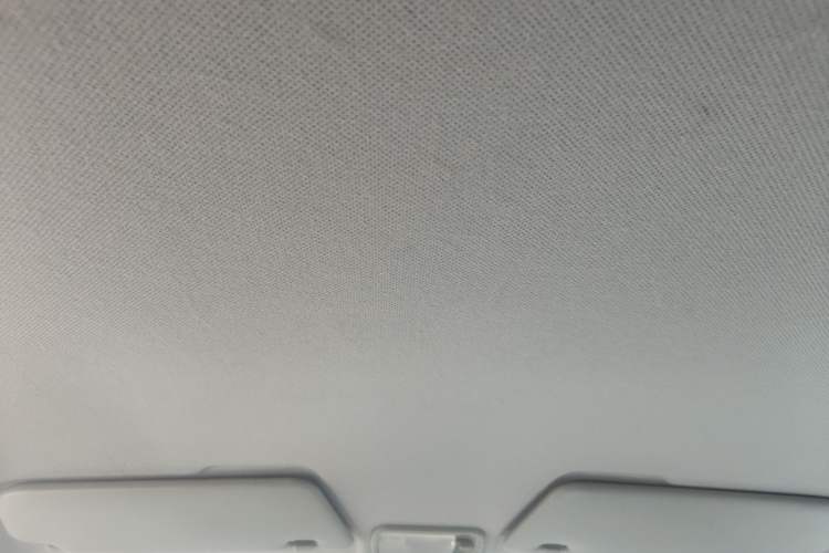 Used Wuling Hongguang MINIEV 2022 Enjoy Edition Lithium Iron Phosphate Headliner