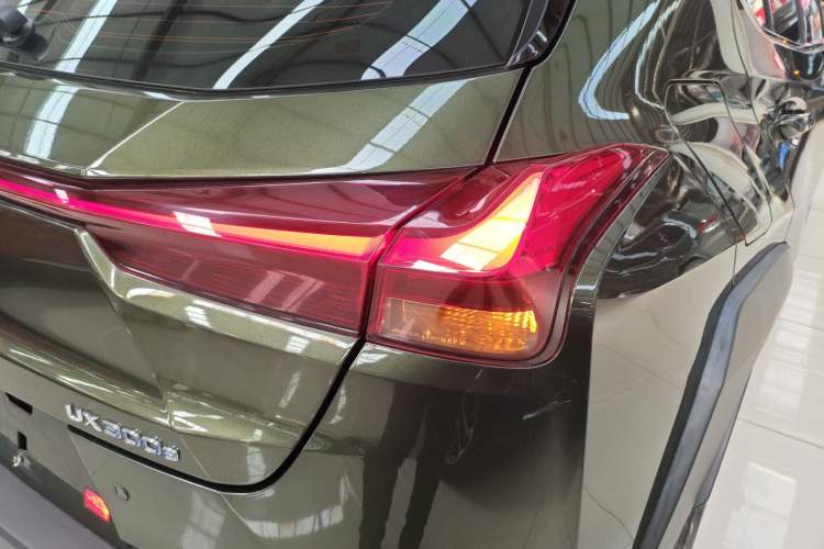 Used Lexus UX New Energy 2020 300e Pure·Joy Edition
