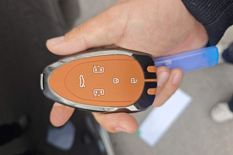 Used Wey Gaoshan 2023 Four-Wheel-Drive Executive Extended Version
