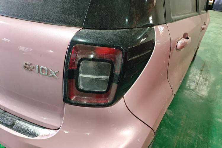 Used SOL E10X 2022 Flower Fairy Style Baby's Breath