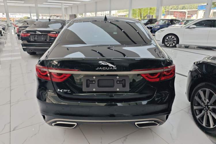 Used Jaguar XFL 2024 2.0T P250 Two-Wheel Drive Prestige Luxury Edition Rear