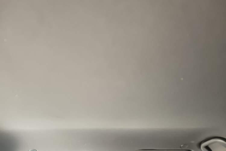 Used BYD Dolphin 2021 405 km Free Version Headliner