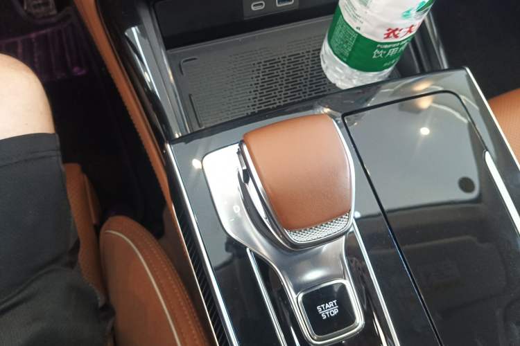 Used Hongqi H9 2024 2.0T Qichang Private Enjoyment Luxury Edition