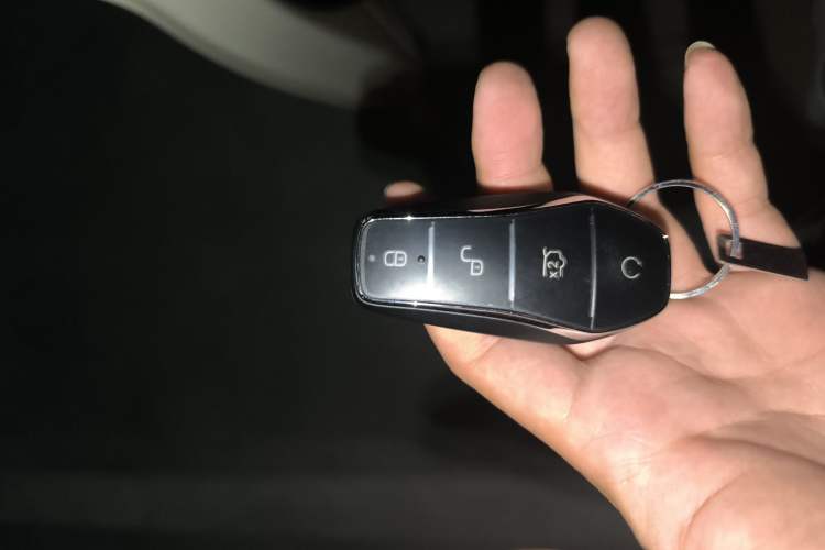 Used BYD Dolphin 2025 Intelligent Driving Version 520km Range Knight Edition