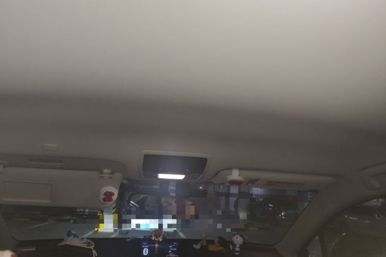 Used Lexus NX 2017 200 Front-Wheel-Drive X-Trail SE Edition Headliner