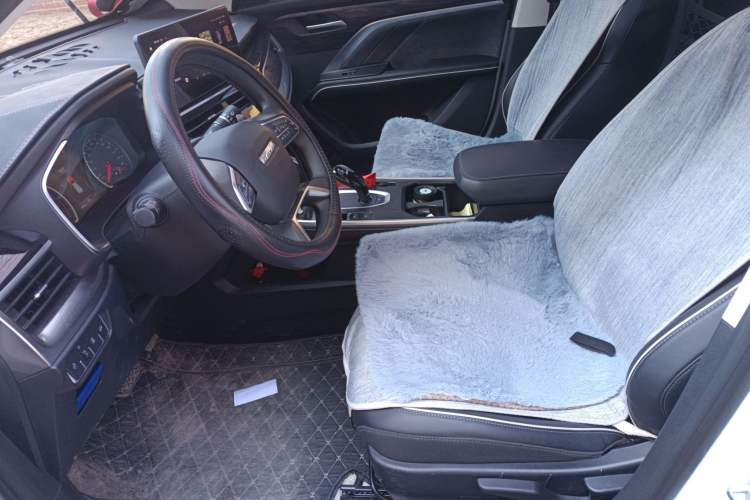 Used Haval H6 2023 National Trend Edition 1.5T Automatic Urban Version
