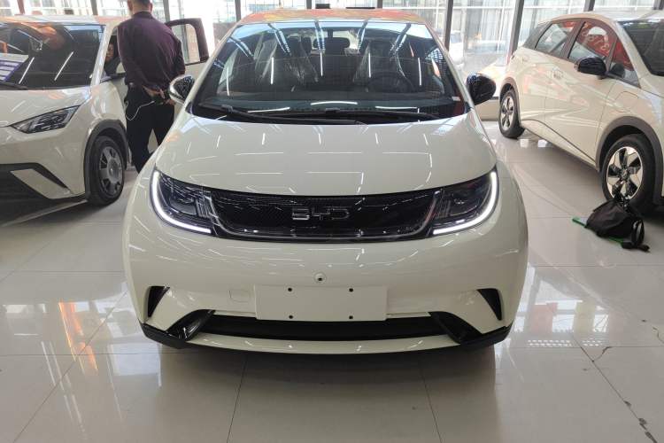 Used BYD Dolphin 2025 420km Free Edition