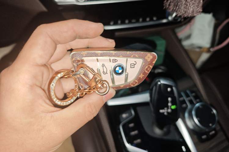 Used BMW 5 Series 2020 530Li Leading Edition Luxury Package
