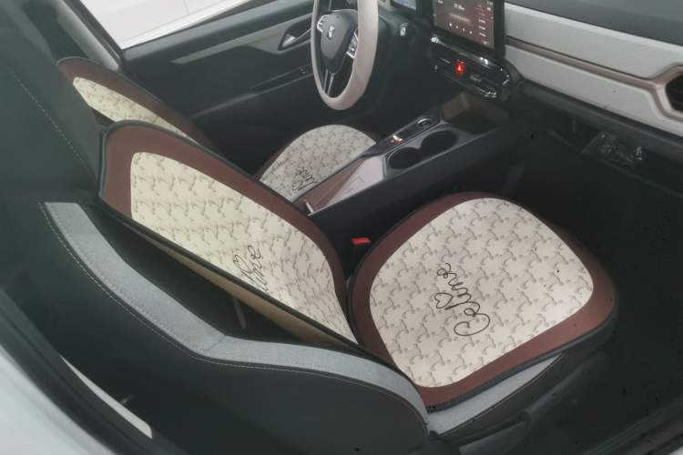 Used SOL E10X 2021 Jimei Edition 302km Fashionable Model