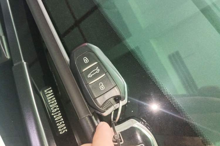 Used DS 5LS 2018 30THP Fashion Model