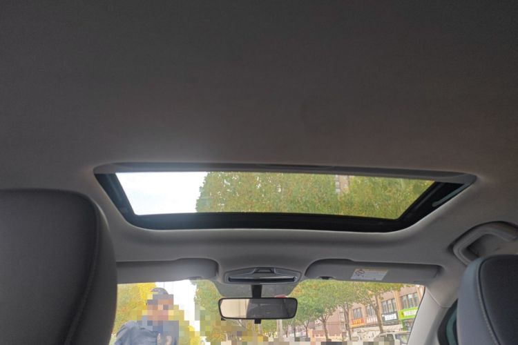 Used Geometry E Firefly 2022 401 km Linglong Tiger 4 Seats