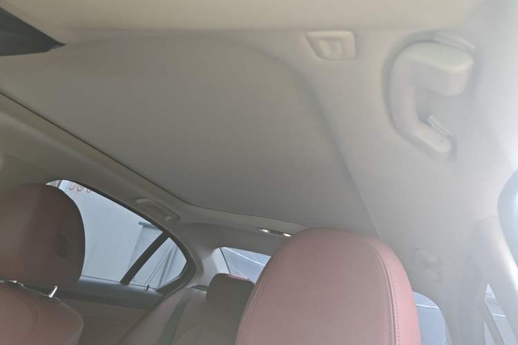 Used BMW 3 Series 2021 Second Facelift 325Li M Sport Night Edition Package Headliner