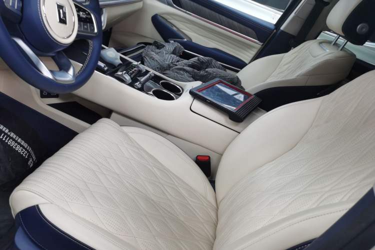 Used Tank 500 New Energy 2026 Model—Hi4-T Standard Version