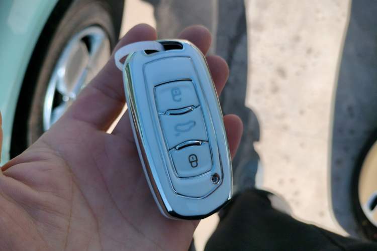 Used Geely Galaxy Panda 2024 Panda Mini 200km Endurance Bear