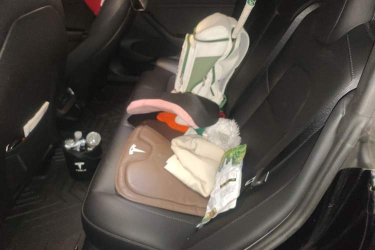 Used Tesla Model 3 2022 Rear-Wheel-Drive Version