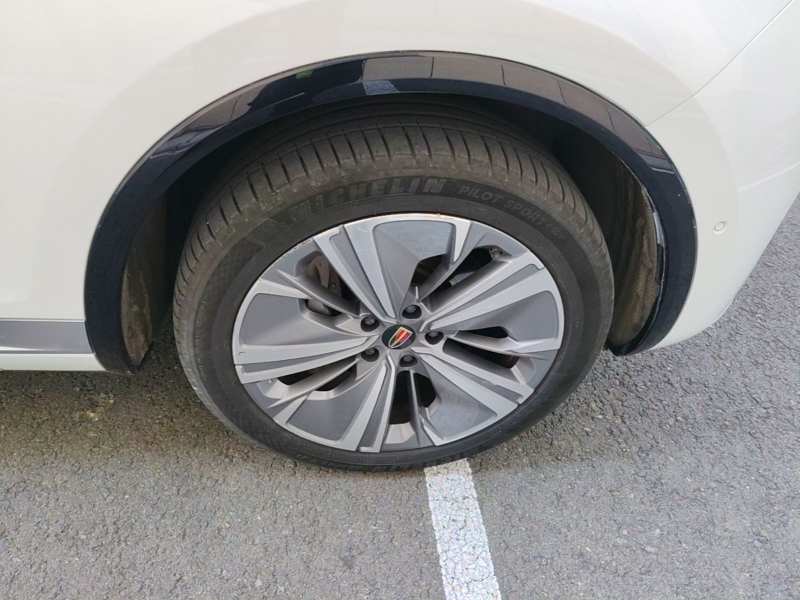 Used Hongqi E-HS9 2022 690 km Range Flagship Edition Six Seats — 8