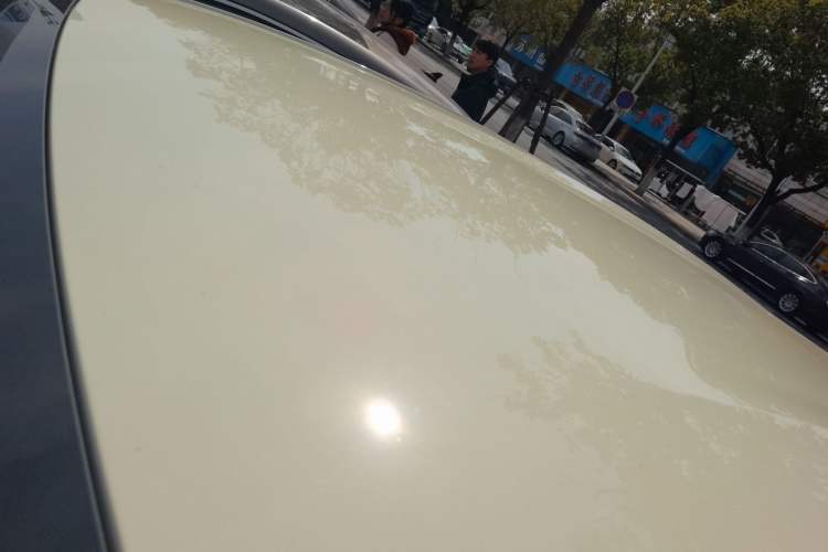 Used BYD Dolphin 2024 Honor Edition 420km Freedom Version