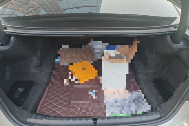 Used BMW 5 Series 2019 530Li Leading Model Luxury Package Trunk