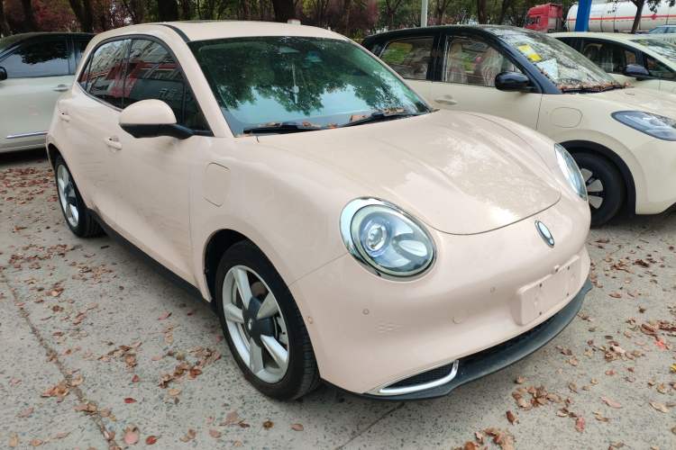 Used ORA Good Cat 2021 400km Standard Range Athena Edition Lithium-Ion Battery