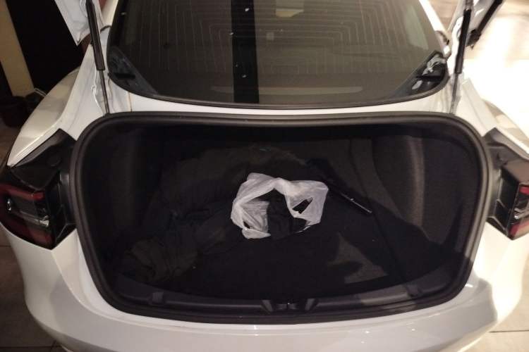 Used Tesla Model 3 2020 Revised Version Standard Range Rear-Wheel Drive – Upgraded Edition Trunk