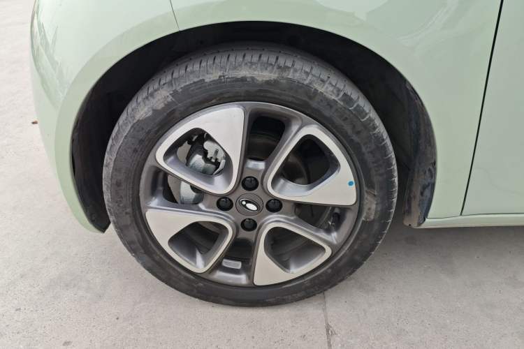 Used ORA White Cat 2022 Upgraded Model 305km Range Luxury Version Lithium-Ion Battery
