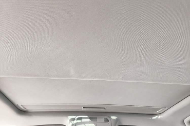 Used Volkswagen Magotan 2012 Facelift 2.0 TSI Prestige Model Headliner