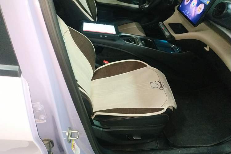 Used BYD Dolphin 2023 420 km Fashion Edition Right Front Seat