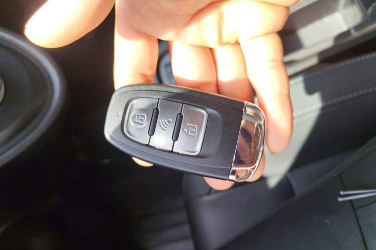 Used ORA Black Cat 2019 351 km Family Edition