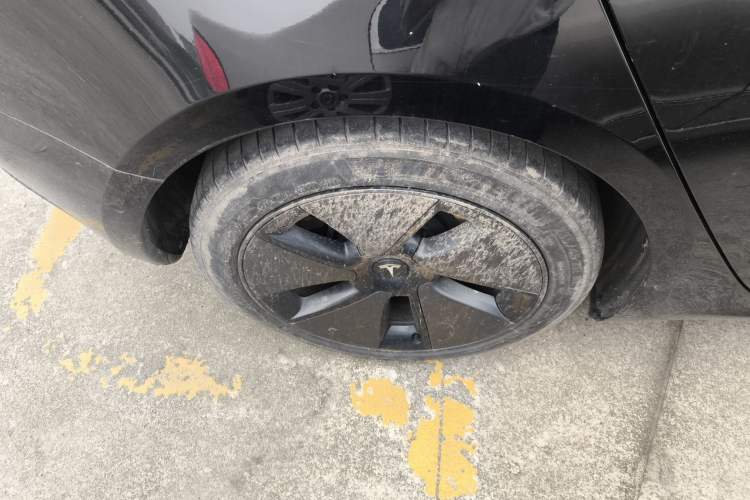 Used Tesla Model 3 2021 Standard Range Rear-Drive Upgraded Version Exterior 5