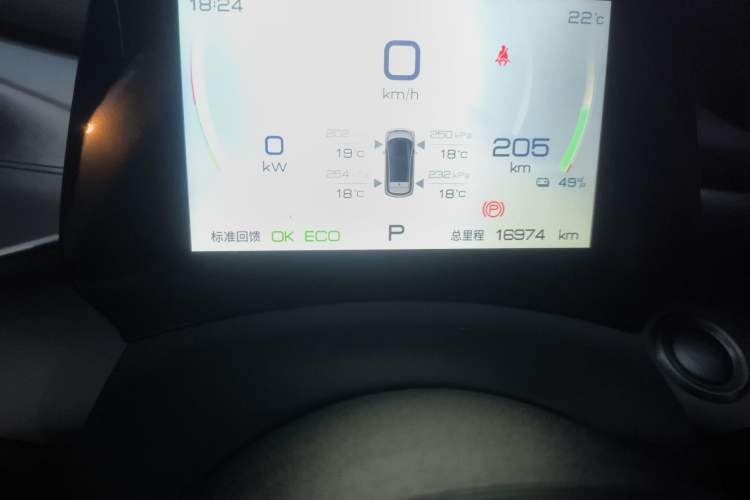 Used BYD Dolphin 2023 420 km Free Version Odometer Close Up