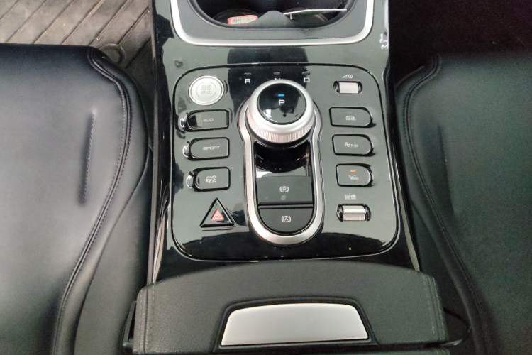 Used BYD Qin PLUS 2021 EV 400KM Leading Comfort Edition Gear Lever