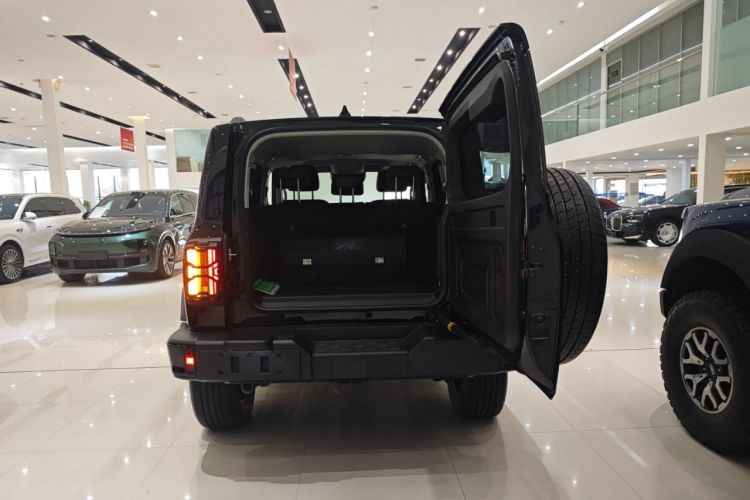 Used Tank 300 New Energy 2025 Hi4-T Trunk