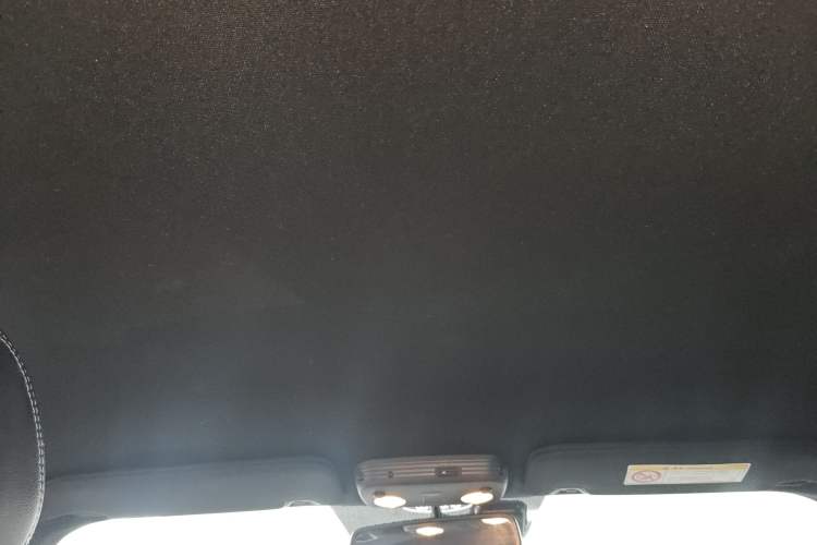 Used Ford Mustang 2017 2.3T Performance Edition Headliner